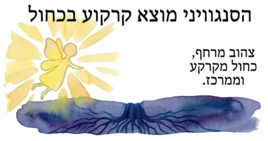איזון הסינגווין באמצעות הכחול/סגול
